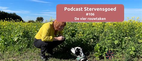 rouwfasen|Wat zijn de vier rouwtaken en hoe ondersteun je。